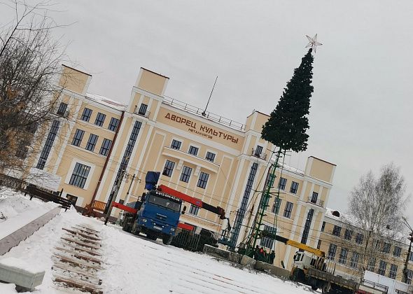 Перед ДКМ Серова устанавливают новогоднюю ель, которую год назад сломало ветром