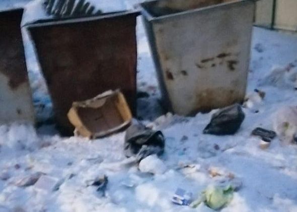 «Хожу мимо этой помойки каждый день». Жители Новой Колы и Филькино жалуются на качество уборки территорий контейнерных площадок от мусора