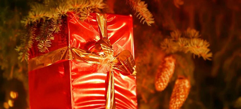 Блог. Серовский отдел Роспотребнадзора. Как выбрать правильный новогодний подарок для ребенка