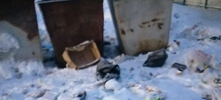 «Хожу мимо этой помойки каждый день». Жители Новой Колы и Филькино жалуются на качество уборки территорий контейнерных площадок от мусора