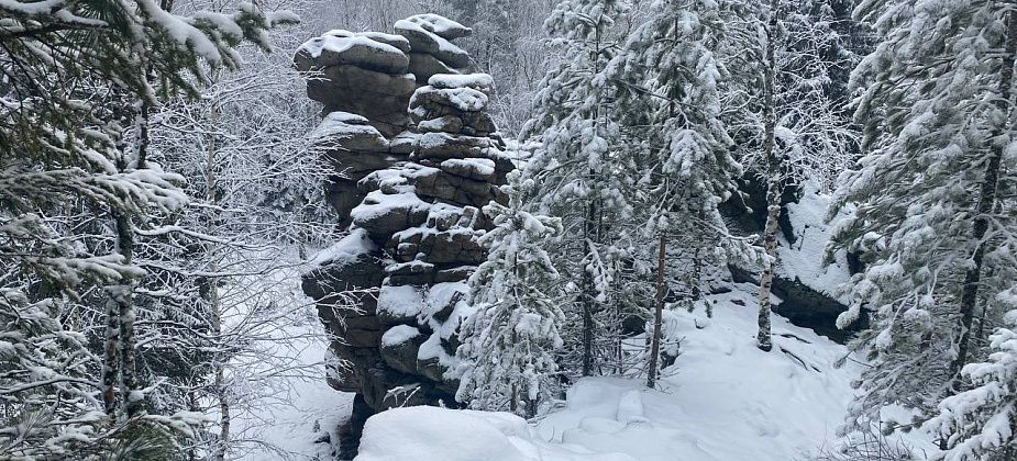 На север области грядут морозы до -36 градусов