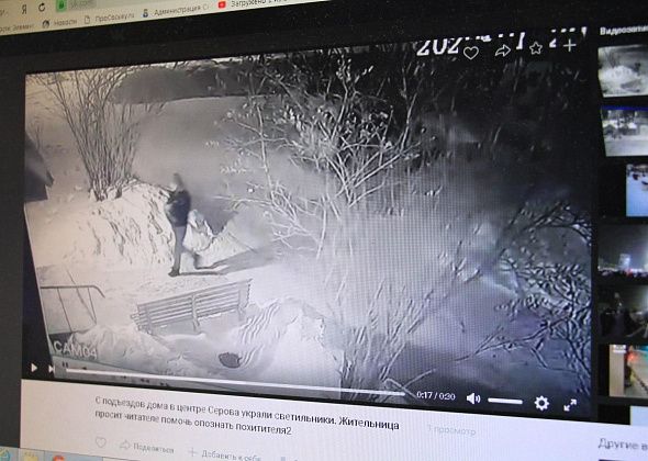 С подъездов дома в центре Серова украли светильники. Жительница просит читателей помочь опознать похитителя