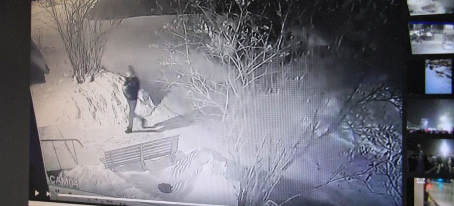 С подъездов дома в центре Серова украли светильники. Жительница просит читателей помочь опознать похитителя