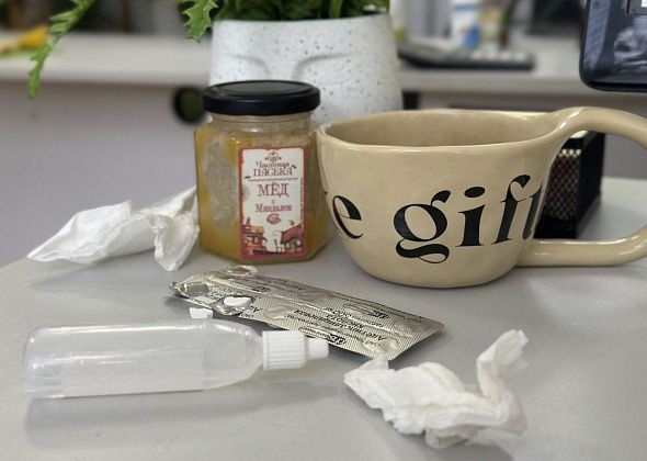 Из-за ОРВИ в Серове на карантин закрыты несколько классов в школах и групп в детских садах