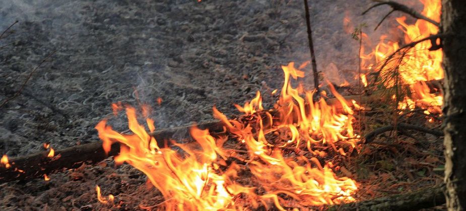 Под Серовом в выходные тушили природный пожар. Предположительно, загорелось из-за молнии