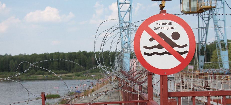 В районе серовского водохранилища видели медвежонка
