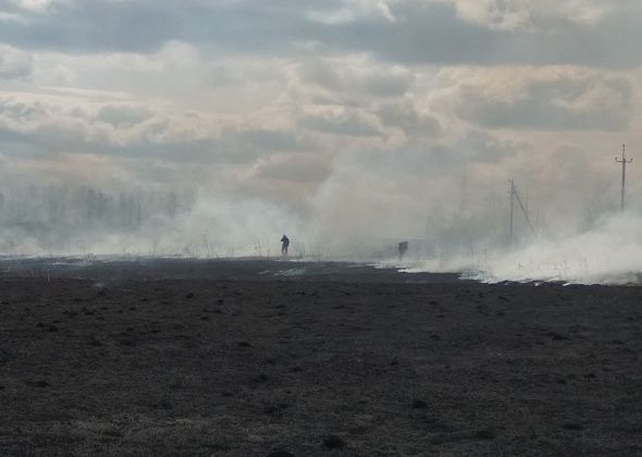  В Серове начали штрафовать за сжигание травы