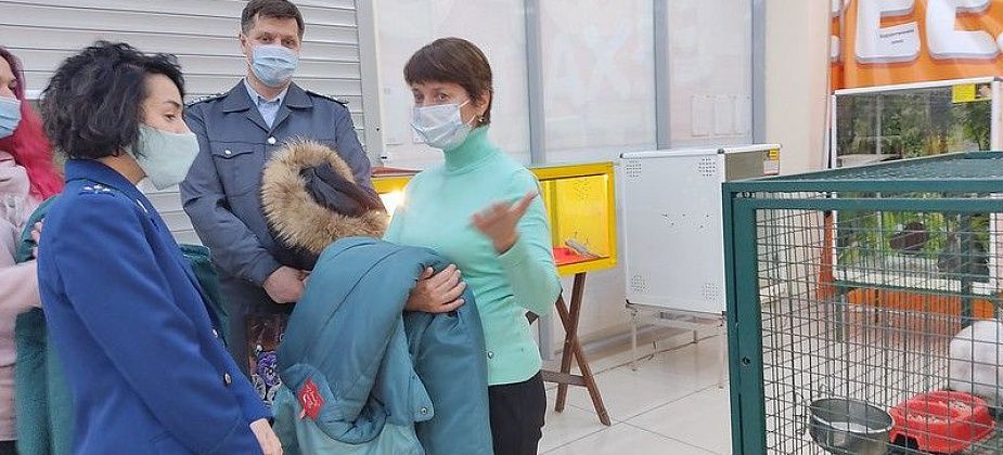В Серове судили ООО "Животный мир" - организатора выставки животных в торговом центре