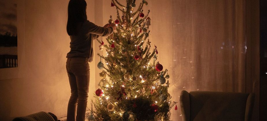 Рубим, пилим и добавляем сахар: что сделать, чтобы живая елка простояла дольше