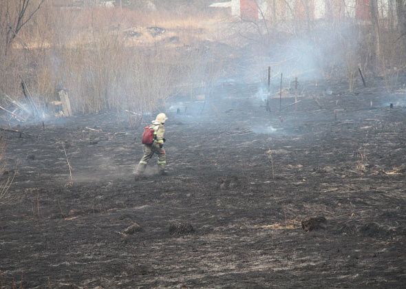 В Серове зафиксированы первые случаи возгорания сухой травы. Горожан просят соблюдать правила пожарной безопасности