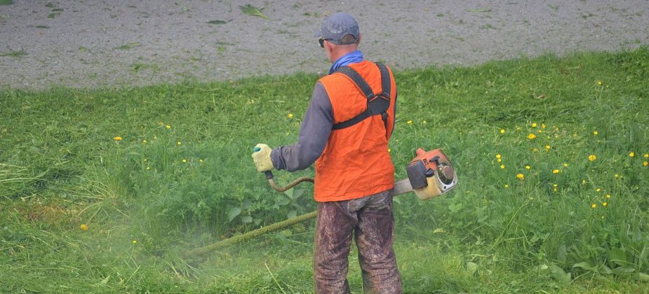 На покос газонов в Серове из городского бюджета выделено больше 2 миллионов рублей