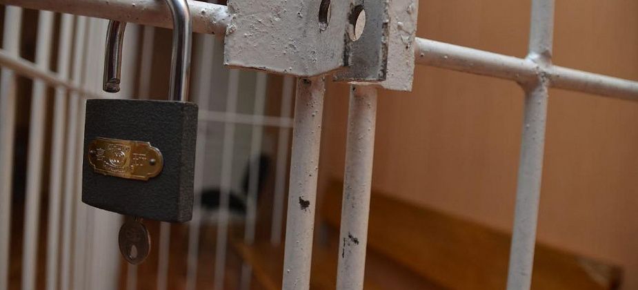 Владелец клуба "Хромая лошадь" вышел на свободу досрочно. По закону "день за полтора"