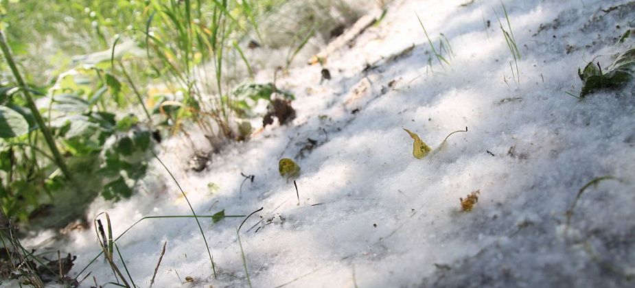 "Просто поразительное неумение управлять городом"