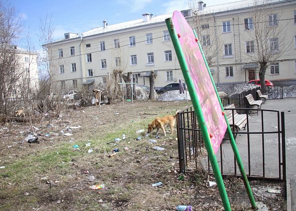 Ждать ли уборки мусора и ремонта детской площадки жителям Сортировки? Глава Серова дал ответ