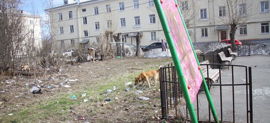 Ждать ли уборки мусора и ремонта детской площадки жителям Сортировки? Глава Серова дал ответ