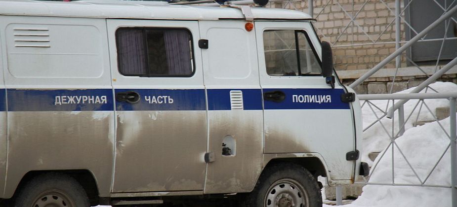 Серовчанка решила купить бытовую технику для кухни, но нарвалась на аферистов