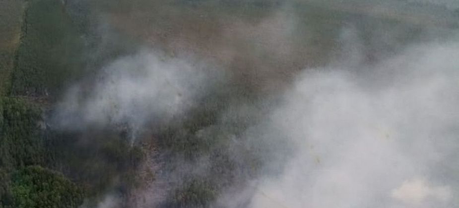 Под Серовом горит 180 гектаров леса