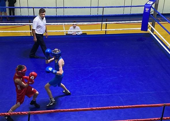 В Серове пройдет матчевая встреча между боксерами из Академии Кости Цзю и Воронежа