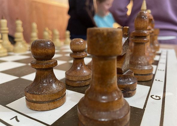 Федерация шахмат Серовского муниципального округа официально зарегистрировалась как юрлицо