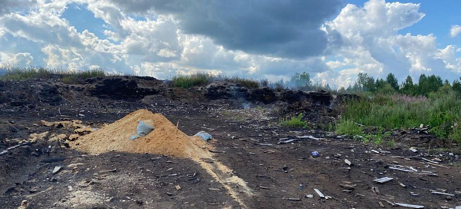 Глава Серова заявил, что ответственность за тлеющий отвал опила под Новой Колой несет частная организация