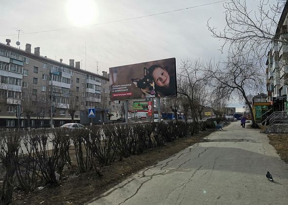 Власти Серова ищут компанию, которая установит на центральной улице новую рекламную конструкцию
