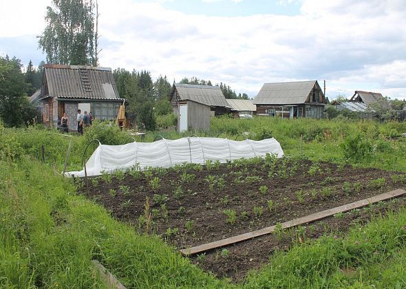 Дачников обязывают открывать расчетные счета. В противном случае - штрафы и… дисквалификация?