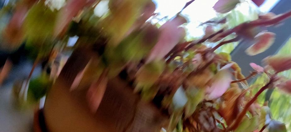 Какие снимки фотографы не отдают