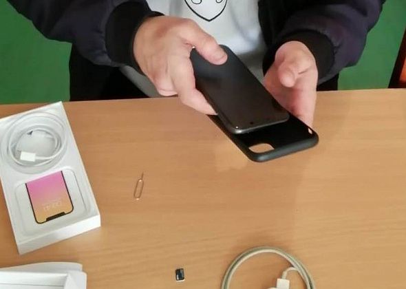 Во время вечеринки в саду у серовчанина украли iPhone
