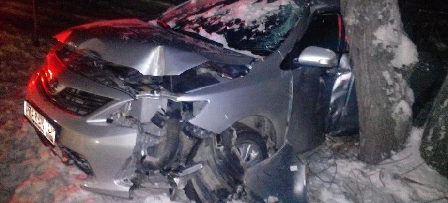 Водитель Toyota Corolla врезался в дерево на Проспекте Серова. Был нетрезв?