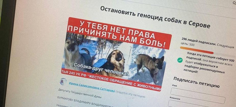 Горожанка создала петицию, чтобы "остановить геноцид собак в Серове". И обратилась к депутату Госдумы
