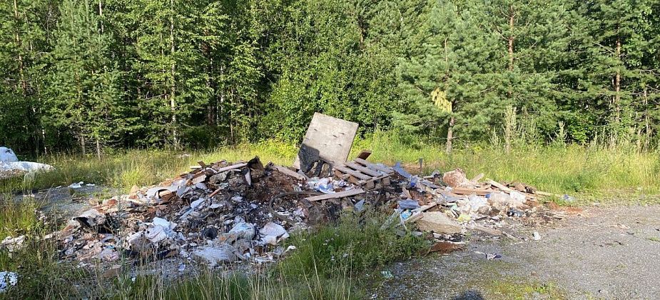 За полгода в Серовском городском округе ликвидировано 67 несанкционированных свалок