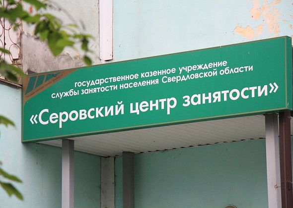 Ищите работу? Смотрите свежую подборку вакансий для серовчан и сосьвинцев от Центра занятости 