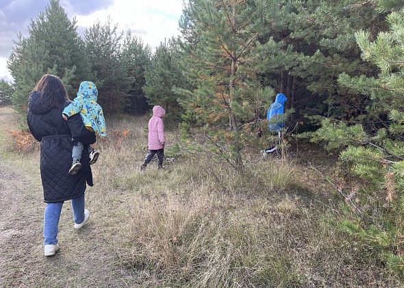 В Серове суд рассматривает иск об обеспечении инфраструктурой выделенных многодетным участков под ИЖС