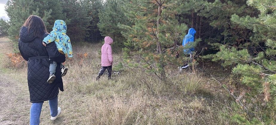 В Серове суд рассматривает иск об обеспечении инфраструктурой выделенных многодетным участков под ИЖС