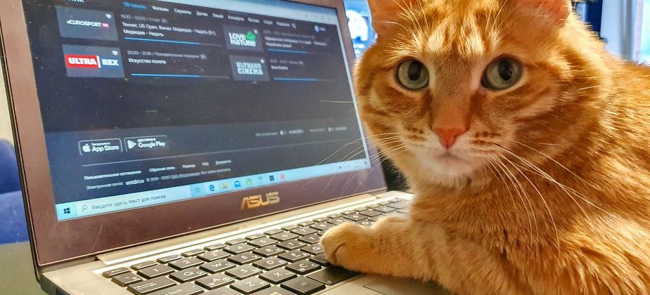 Жители Среднего Урала на 40% больше времени стали проводить в интернете: “Ростелеком” об итогах весны