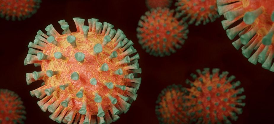 Роспотребнадзор: в Серове подтвержден еще один случай заболевания коронавирусом