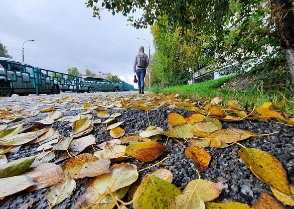 По прогнозам синоптиков, снег на севере области выпадет в ноябре