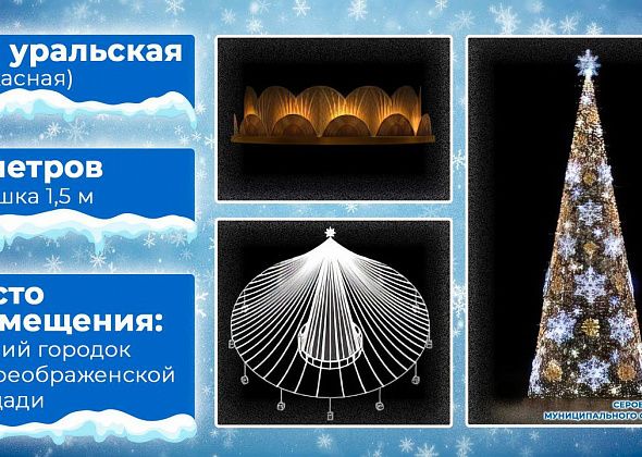 Взамен сломанной ураганом ели для зимнего городка Серова купят новую