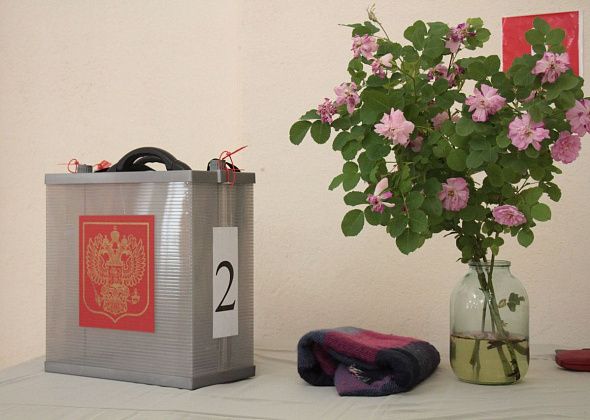 В деревнях под Серовом упразднили два избирательных участка