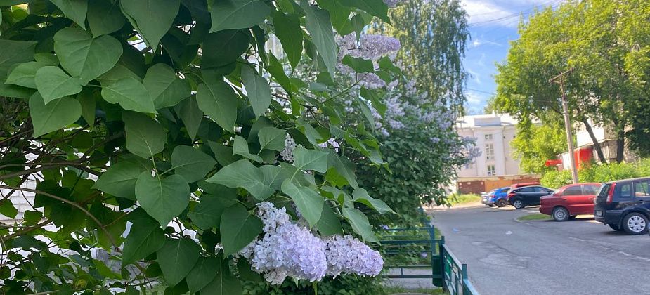 Синоптики прогнозируют дожди и теплую погоду