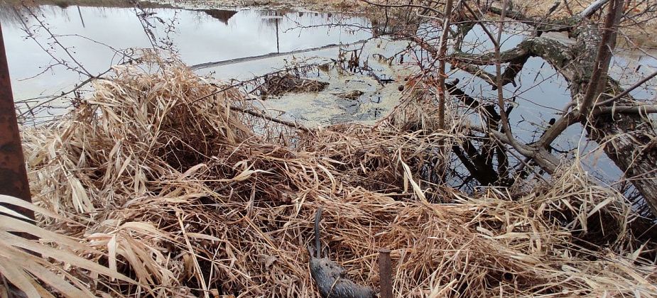 "Проливов и утечек не обнаружено". Серовская нефтебаза ответила на запрос "Глобуса" о ситуации в Завокзальном. Жители жалуются на загрязнение микрорайона нефтепродуктами