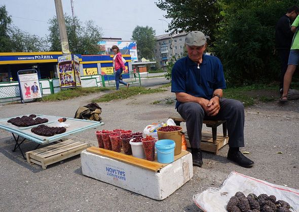 Василий Сизиков хочет обустроить в Серове мини-рынок: “Не переселятся - костьми лягу” 