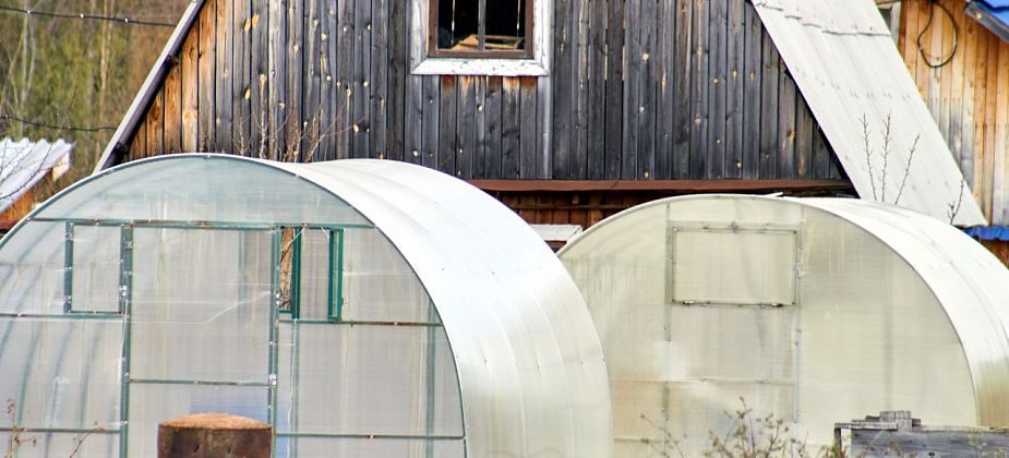 Энергетики банкротят садовые товарищества. Долги хотят взыскивать с имущества и доходов председателей