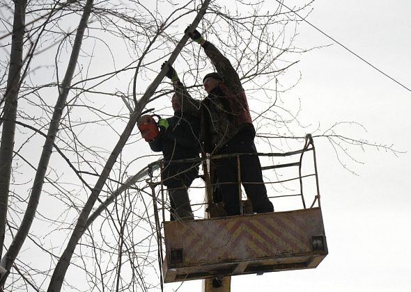 На обрезку и валку деревьев и кустарников, вырезку мелколесья из бюджета Серова выделено больше 5 миллионов рублей