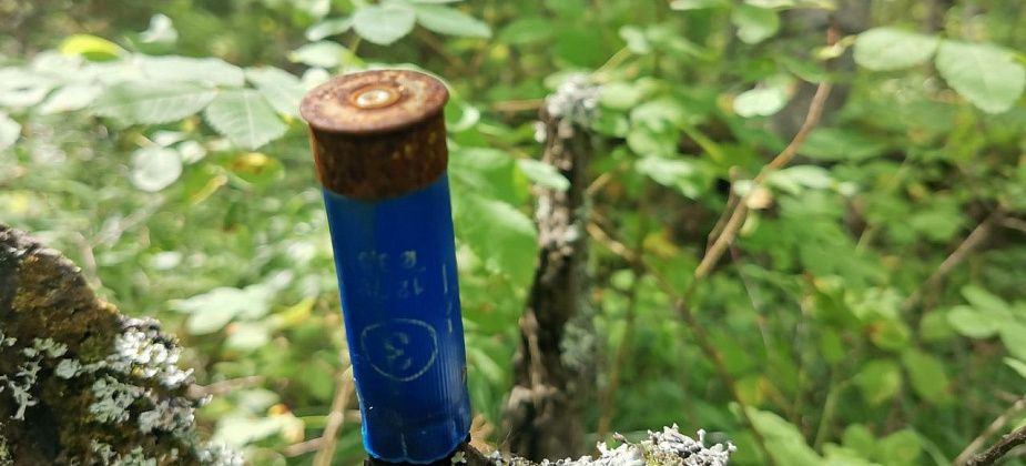 В Серове осужден житель Гаринского района – за хранение пороха и изготовление патронов