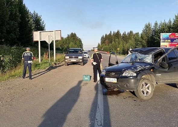 В ДТП между Серовом и Птицефабрикой пострадал ребенок. Виновник привлекался к ответственности 226 раз