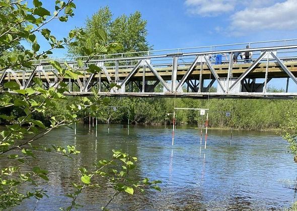 Подростков, ныряющих в реку с моста в Горпарке, доставили в полицию
