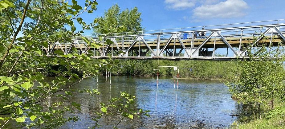 Подростков, ныряющих в реку с моста в Горпарке, доставили в полицию