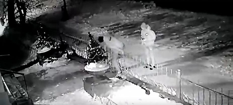 Кража елки с территории детского сада в Серове попала на видео