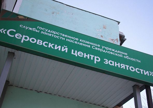 От уборщика до педиатра. Больше полусотни вакансий в Серове, Сосьве и Гарях от центра занятости